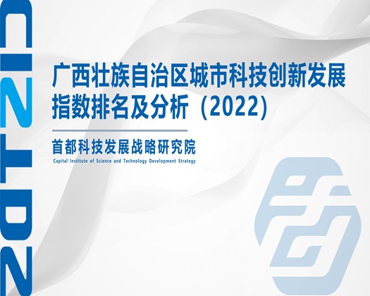 搞逼网址【成果发布】广西壮族自治区城市科技创新发展指数排名及分析（2022）